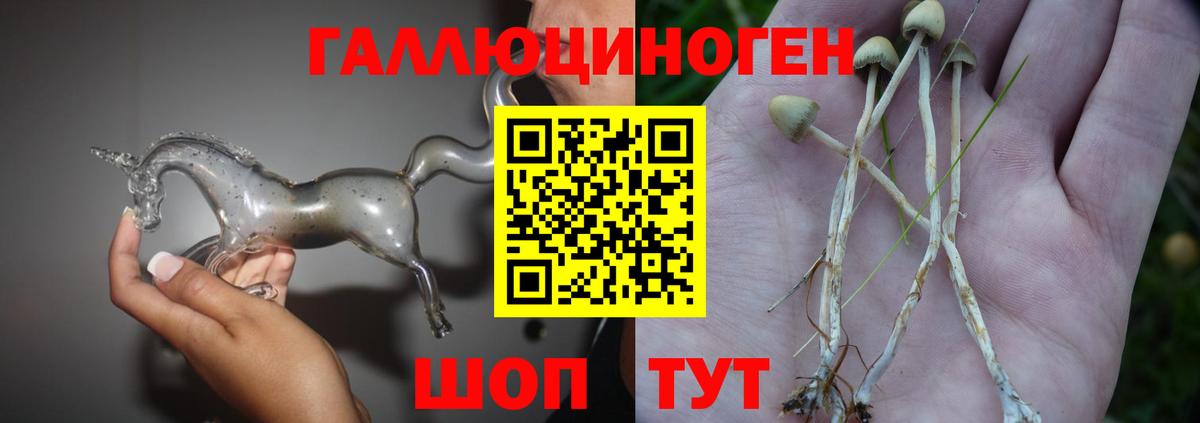 Псилоцибиновые грибы GOLDEN TEACHER Кизляр